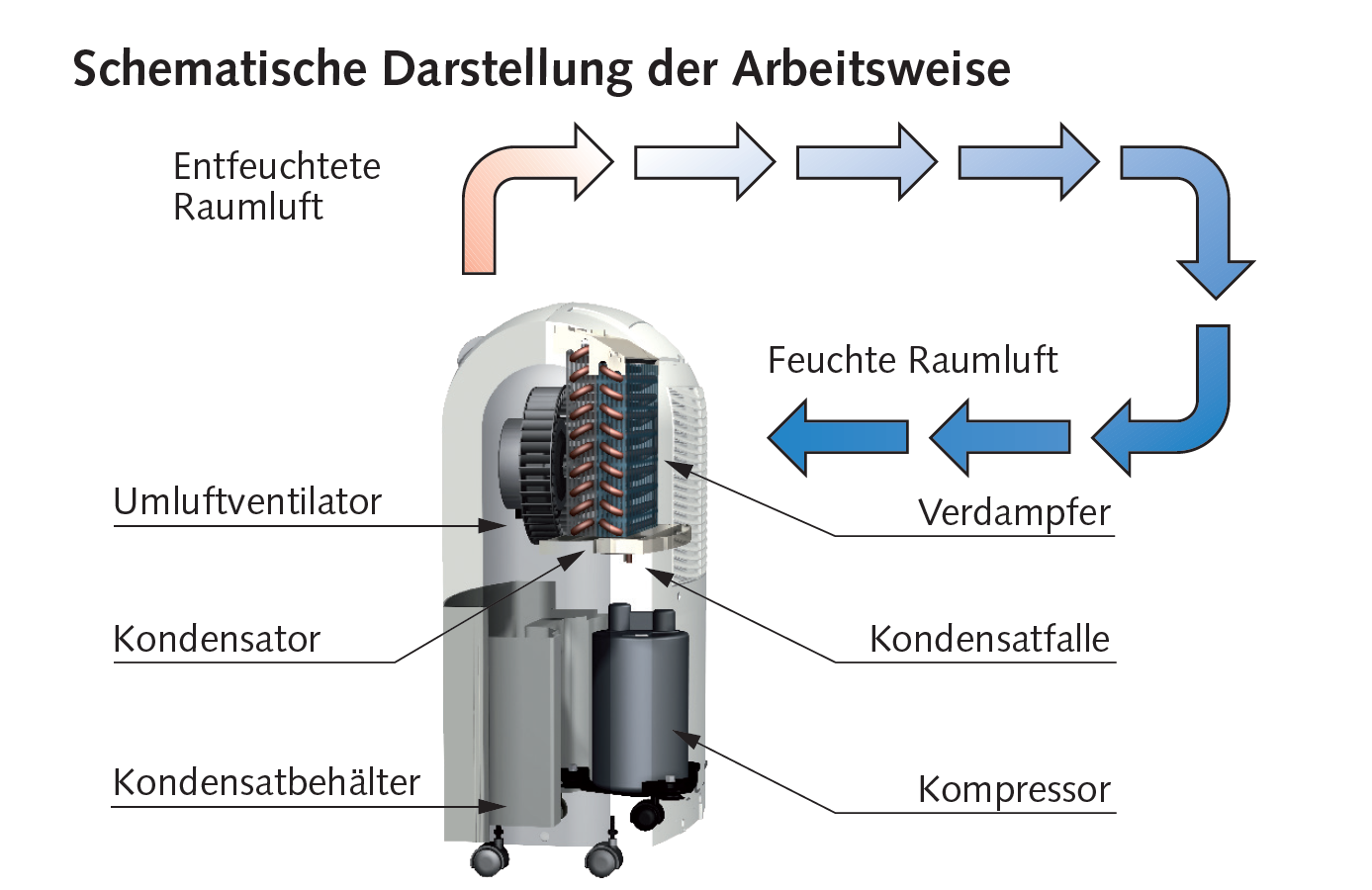Remko ETF 320 Eco Luftentfeuchter - 32,0 L/d